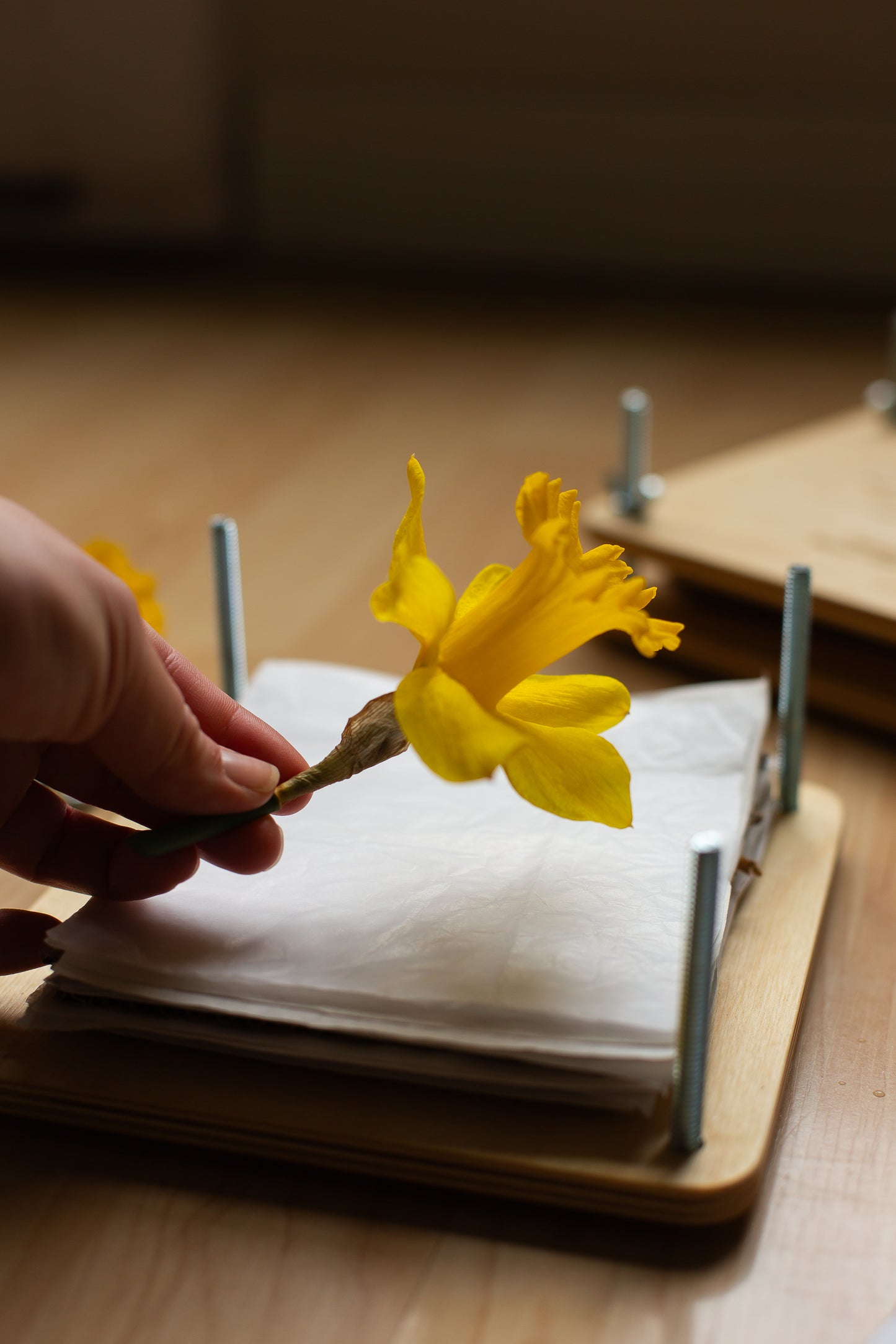 Flower Press