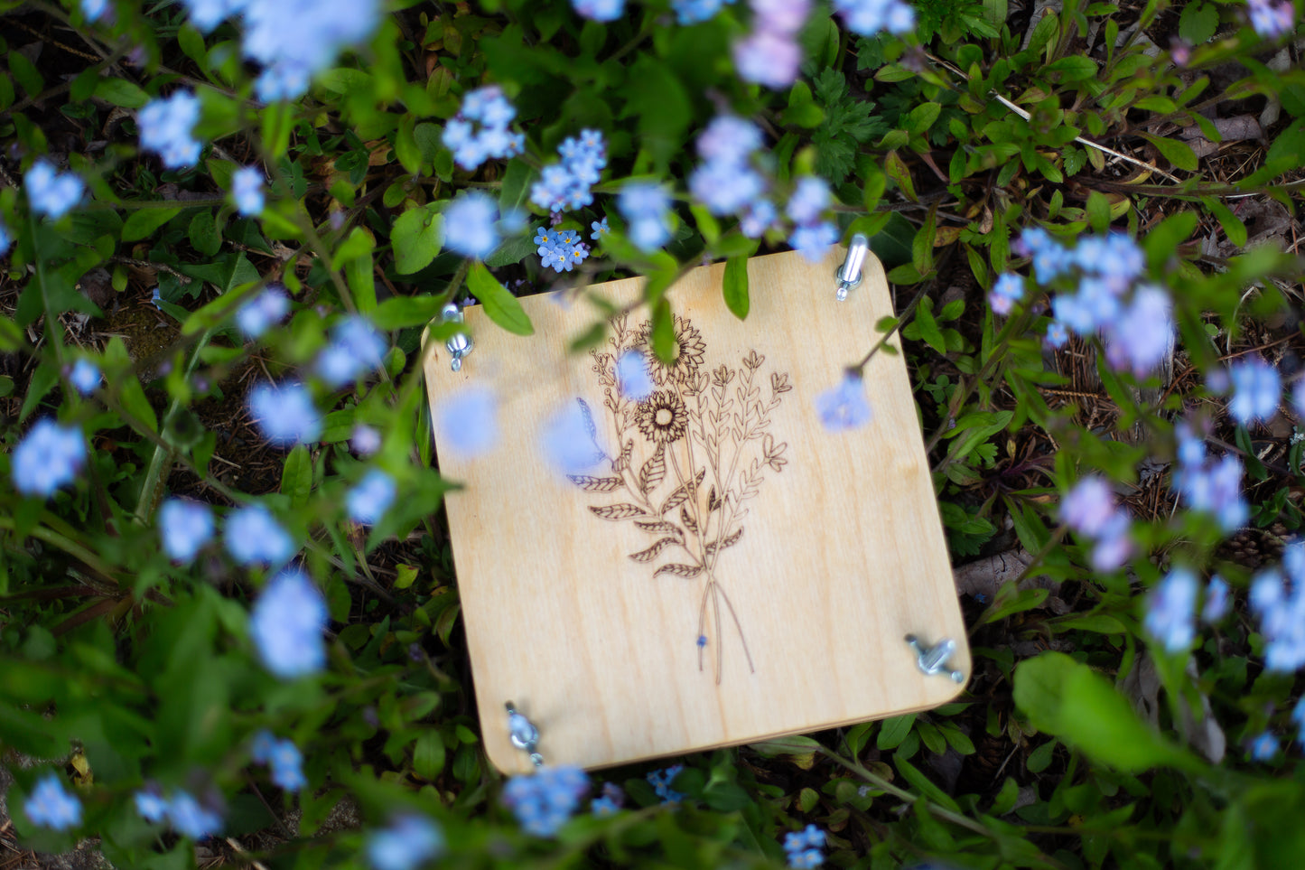 Flower press laid in a bed of wildflowers.