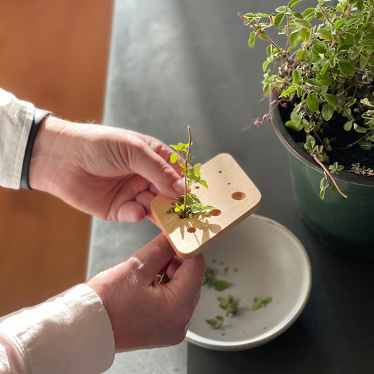An herb stripper being used to strip fresh herbs into a bowl.