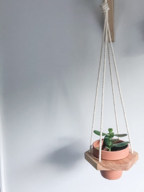 Hex Planter with Clay Pot