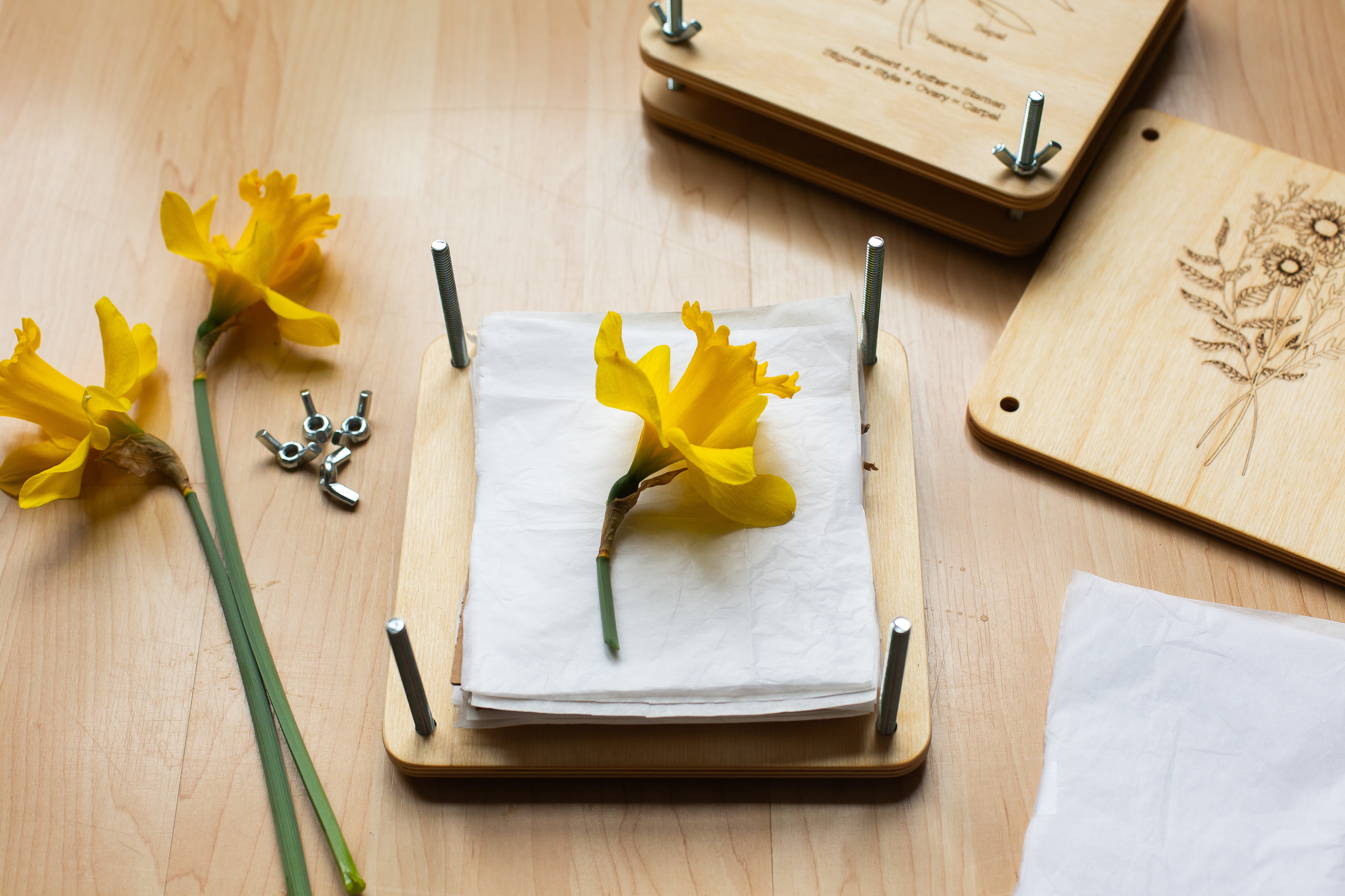 Flower Press – LivCan Design