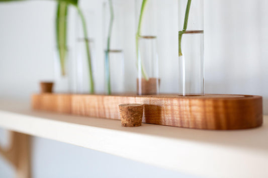 A closeup shot of the cork lid for the propagation tubes. The propagation station with plant clippings is visible in the background.