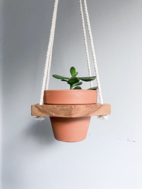 Hex Planter with Clay Pot